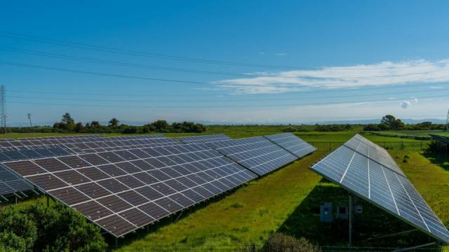 L'agrivoltaïsme concilie rendement agricole et production électrique L'agrivoltaïsme concilie rendement agricole et production électrique