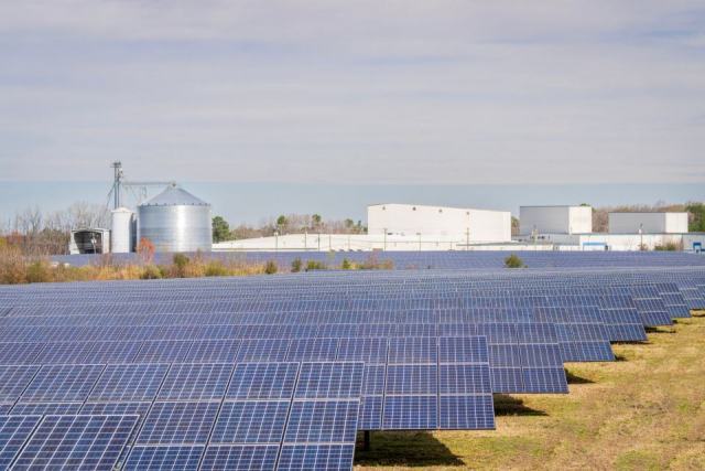 Les centrales au sol alimentent le réseau à grande échelle Les centrales au sol alimentent le réseau à grande échelle